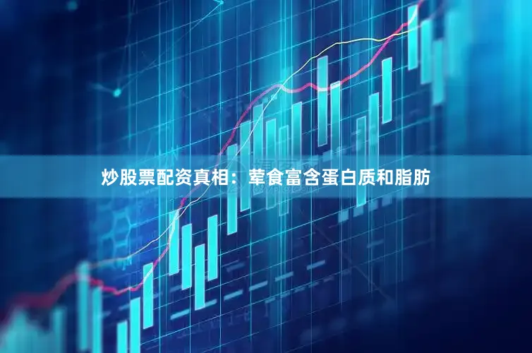 炒股票配资真相：荤食富含蛋白质和脂肪