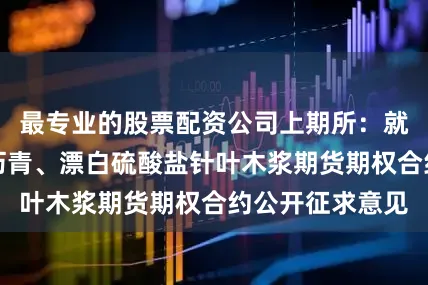 最专业的股票配资公司上期所：就燃料油、石油沥青、漂白硫酸盐针叶木浆期货期权合约公开征求意见