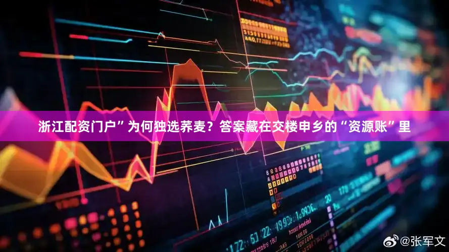 浙江配资门户”为何独选荞麦？答案藏在交楼申乡的“资源账”里