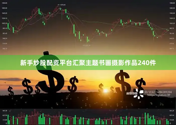 新手炒股配资平台汇聚主题书画摄影作品240件